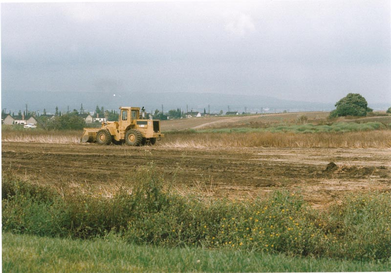 Early DTC 5