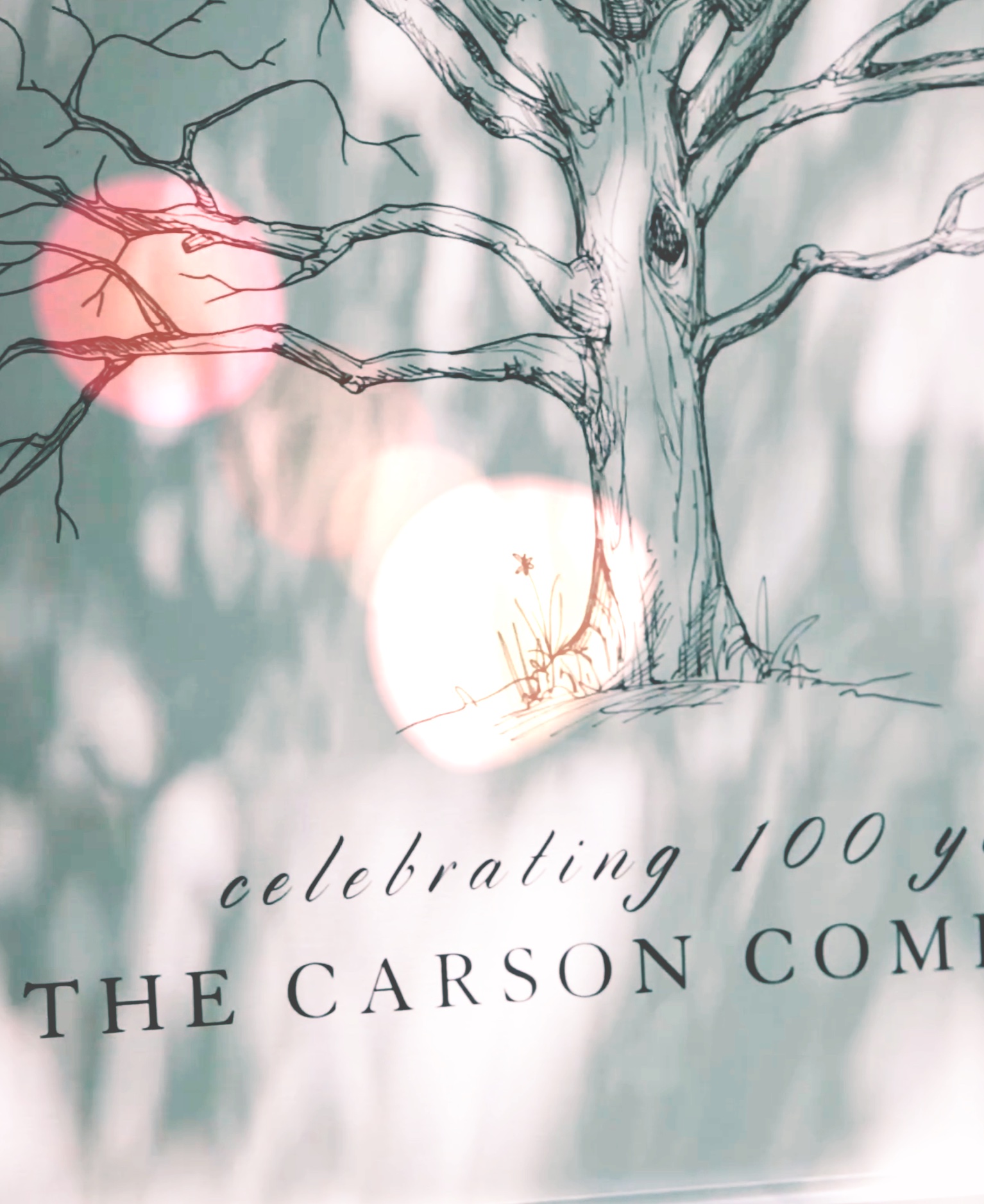 carson-100-yrs-filmtone7_summerflare8